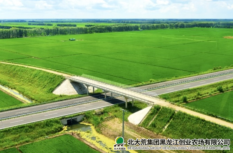 QQ20250306-085239.png