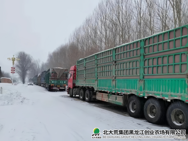 微信圖片_20250217080432_副本.png